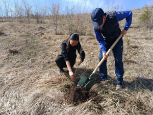 "Жашыл-Мурас" алкагында кочот отуруу иштери
