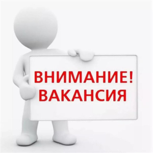 Түп райондук мамлекеттик администрациясы  кадрлар резервине киргизүү үчүн  улук административдик мамлекеттик  кызматынын ордуна  ачык сынак жарыялайт: